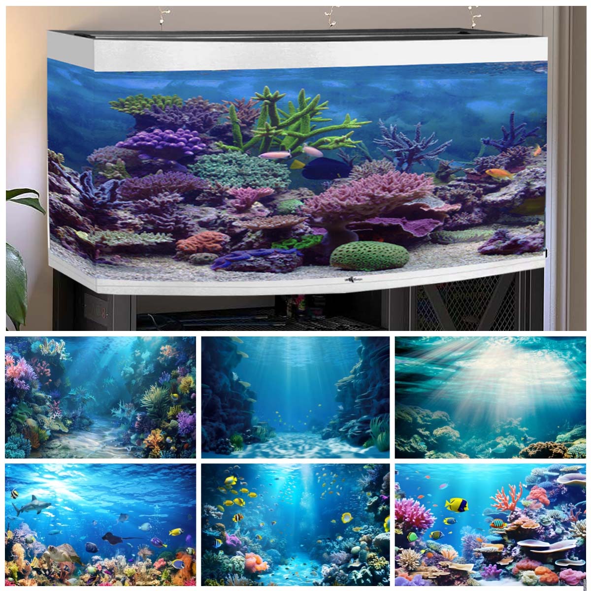 Aquarium Fish World - Underwater World Backgrounds for Photographs Ocean