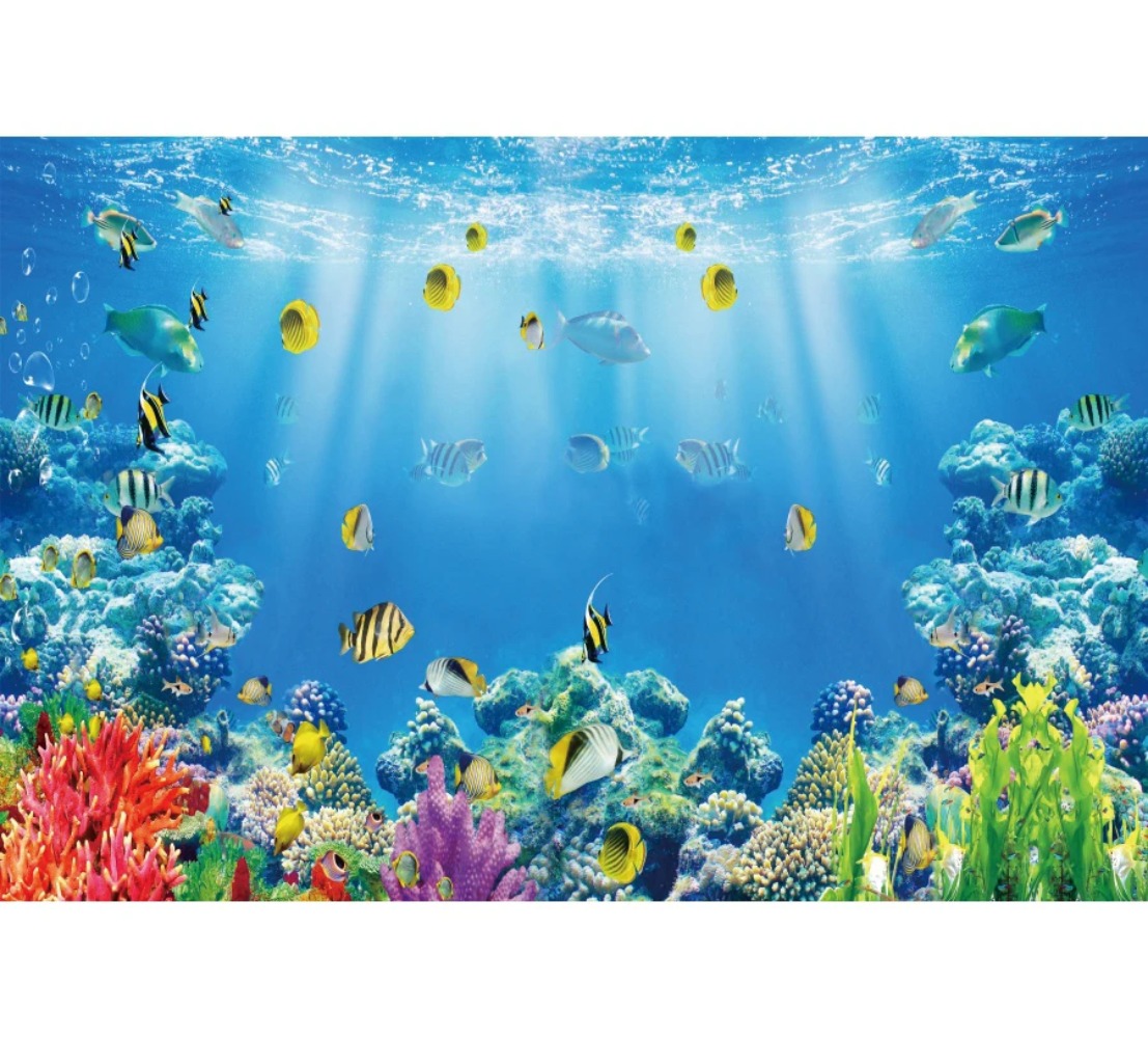 Underwater World Fish Coral Aq - Aquarium Fish World recension och pris