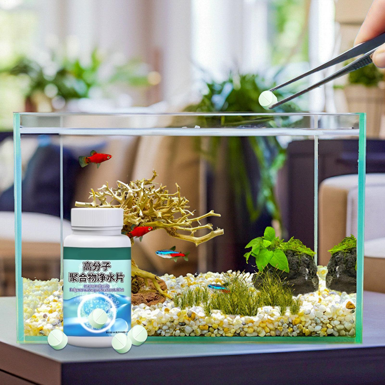 Fish Can Algae Remover Aquariu - Aquarium Fish Home recension och pris