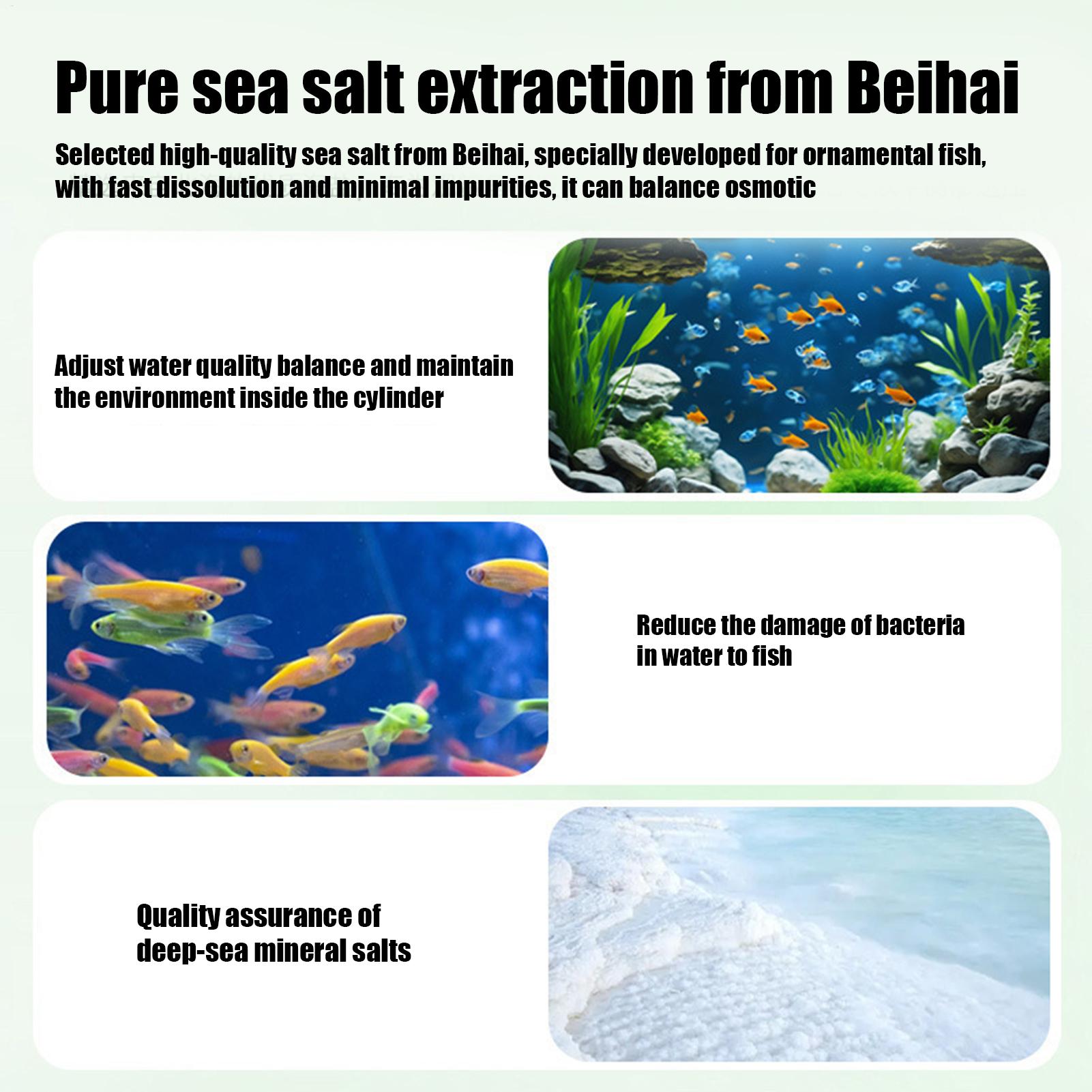 Fish Can Algae Remover Aquariu - Aquarium Fish Home recension och pris
