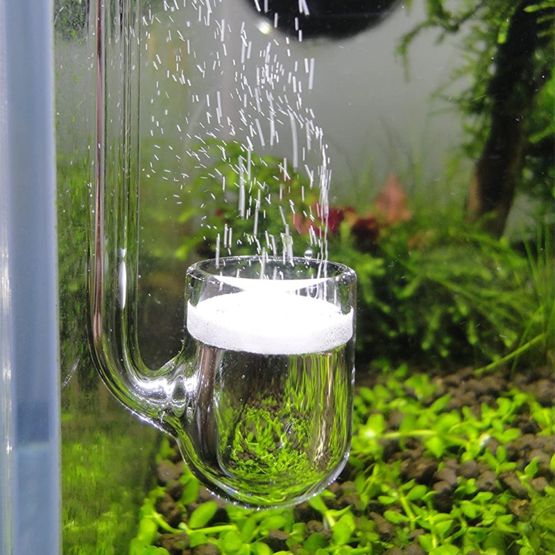 D0AD Glass CO2 Diffuser for Aq - Co2 Diffuser Planted recension och pris