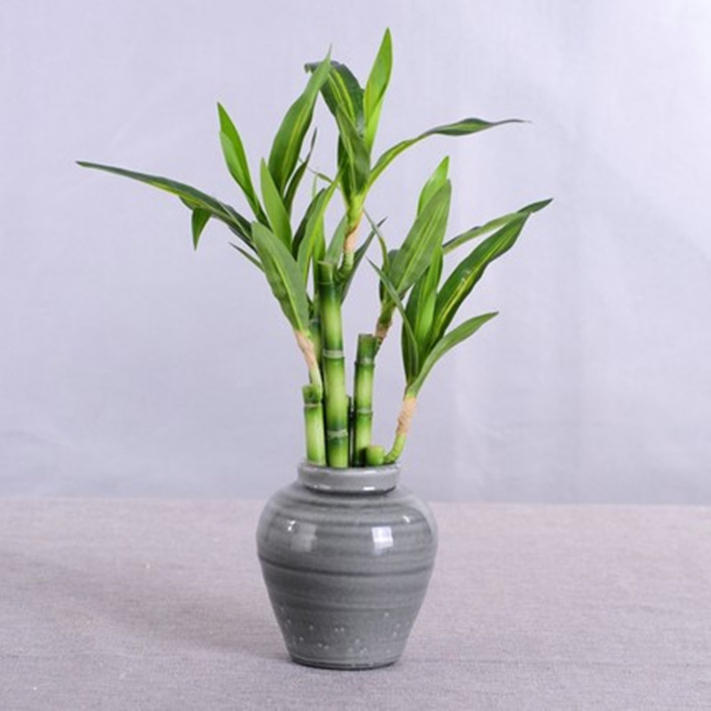 New 40cm rFtificial Lucky Bamb - Aquarium Fish Home recension och pris