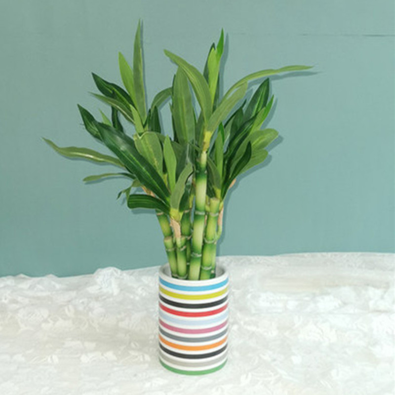 New 40cm rFtificial Lucky Bamb - Aquarium Fish Home recension och pris