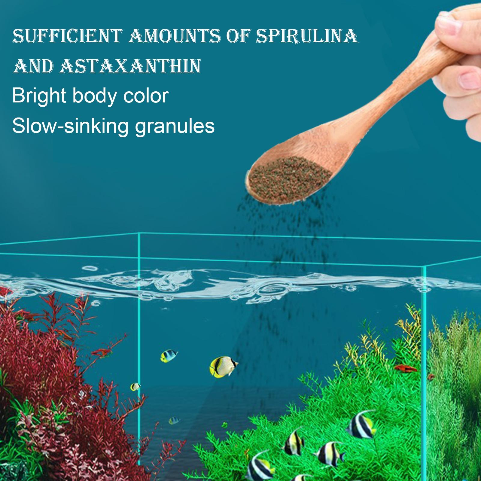 Betta Feed Ornamental Fish Foo - Aquarium Fish Restaurant recension och pris