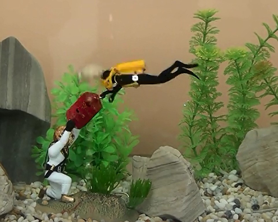 Hot Aquarium Decoration Unders - Aquarium Fish Gif recension och pris