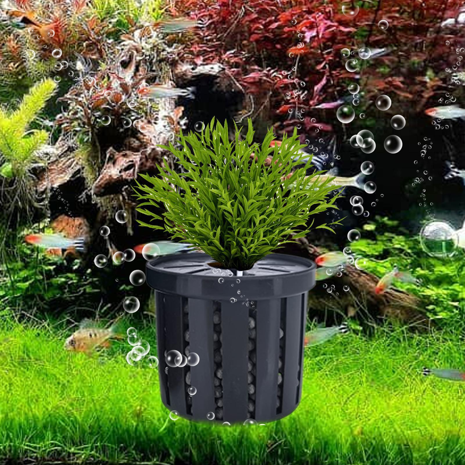4pcs Aquarium Plant Holder Bas - Aquarium Fish Restaurant recension och pris