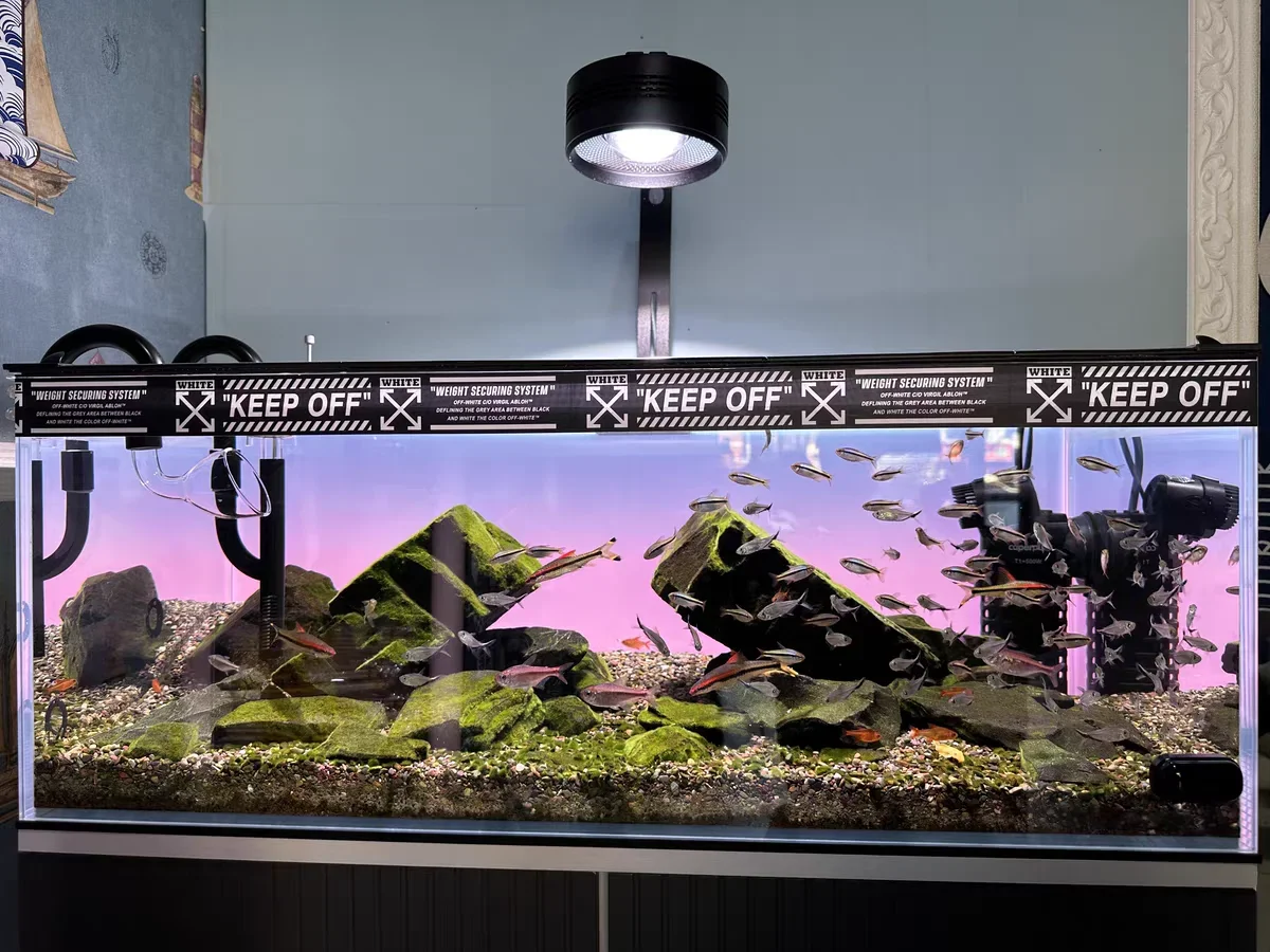 RGB Acrylic Fish Tank Backdrop - Aquarium Fish Colour recension och pris
