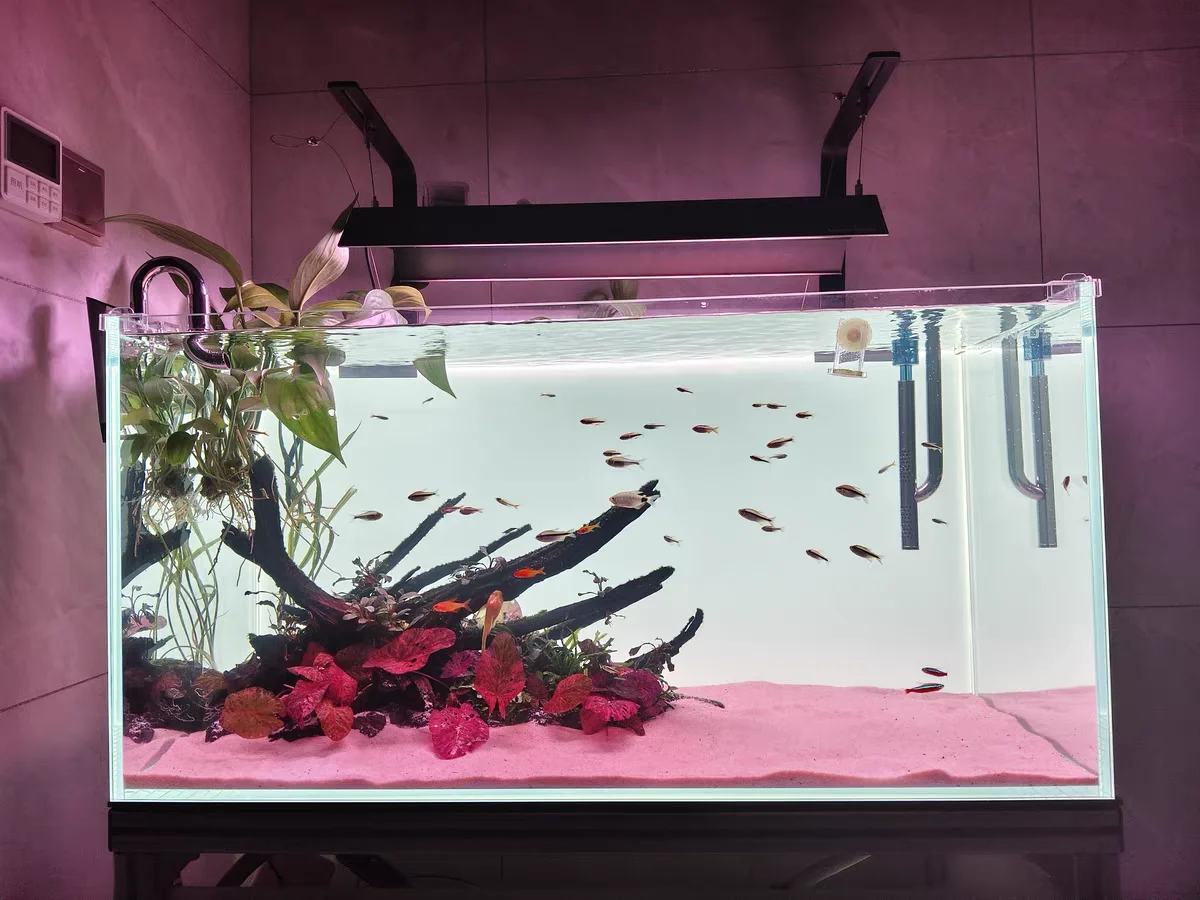 RGB Acrylic Fish Tank Backdrop - Aquarium Fish Colour recension och pris
