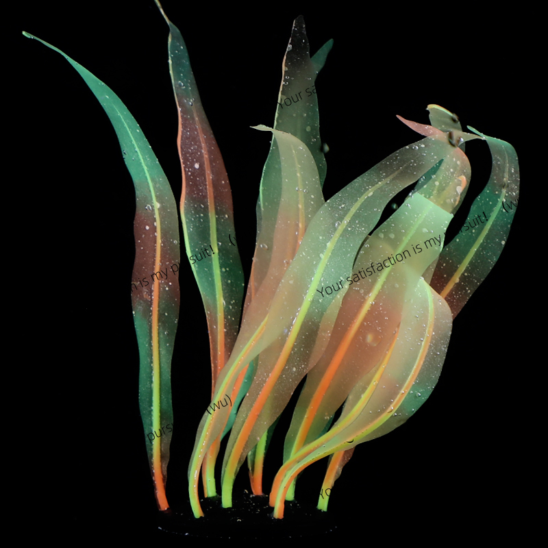 Simulated Kelp Plant Decoratio - Aquarium Fish World recension och pris