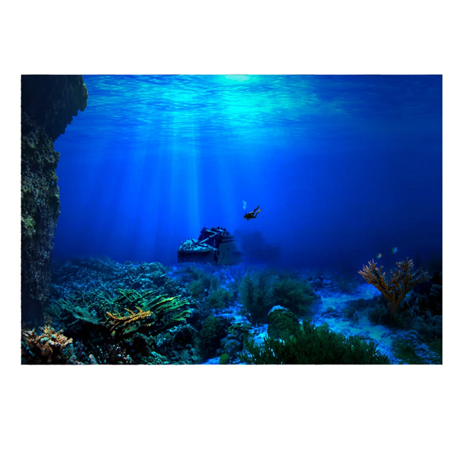 Rainforest Aquarium Background - Aquarium Fish World recension och pris