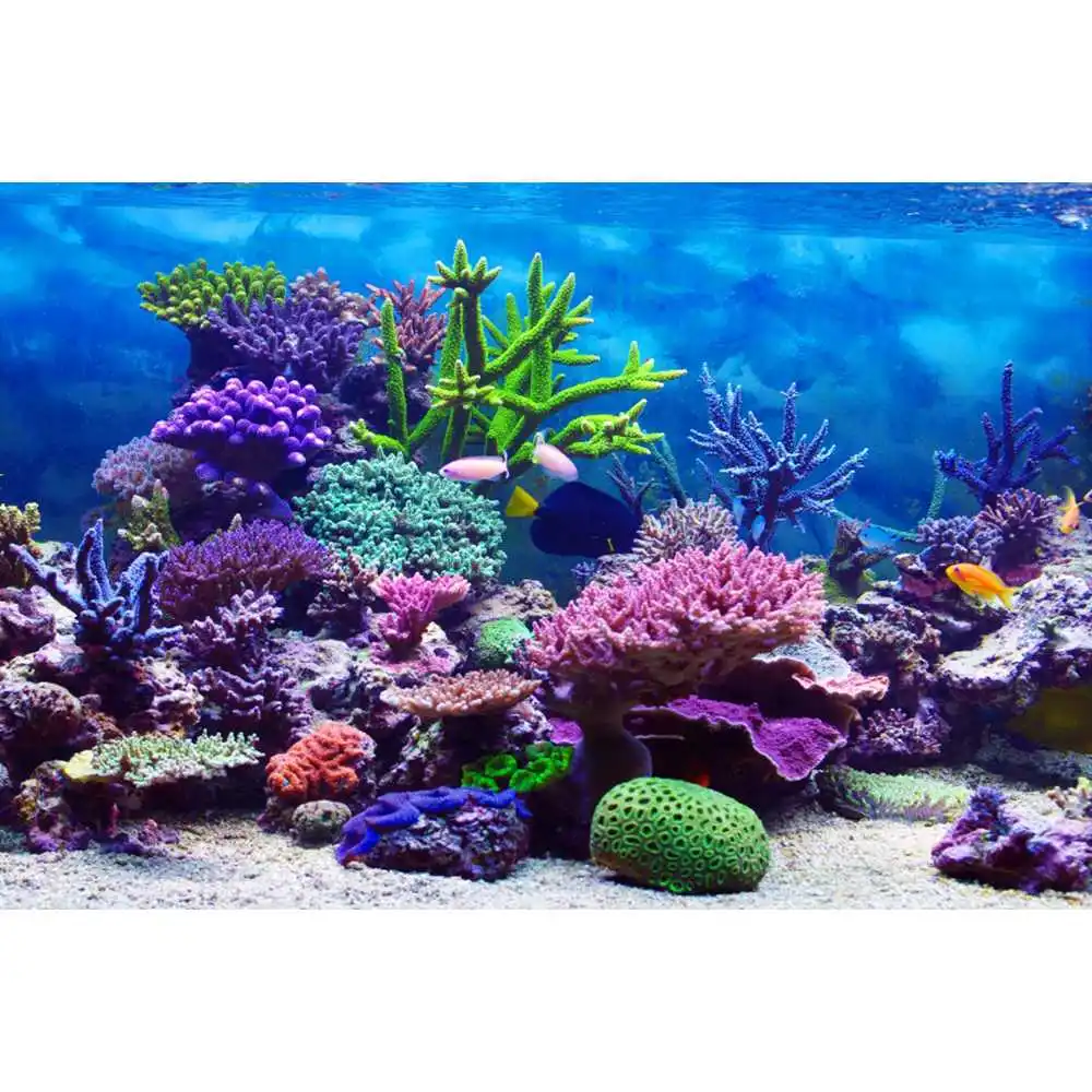 Underwater World Seabed Backdr - Aquarium Fish World recension och pris
