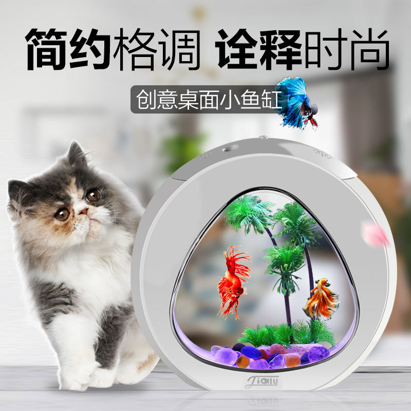 Jialu creative desktop fish ta - Aquarium Fish Delivery recension och pris