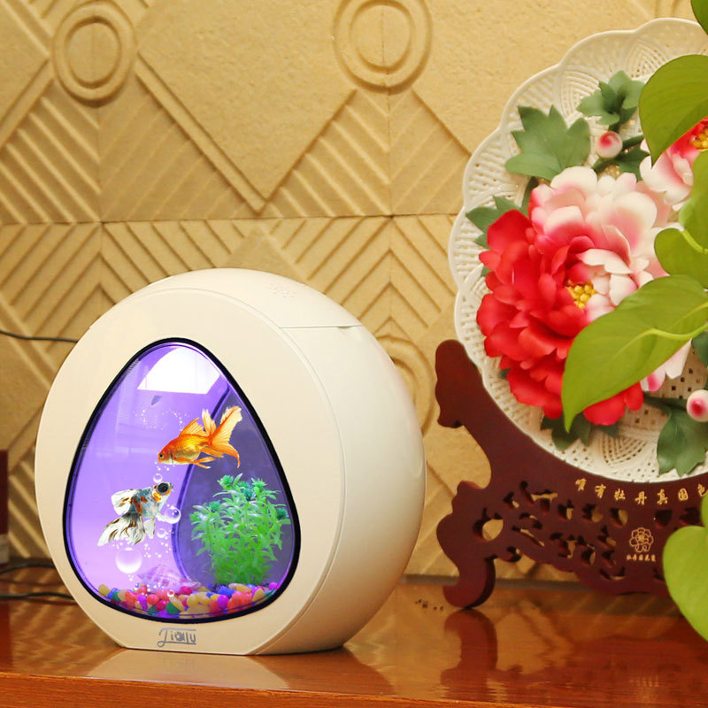 Jialu creative desktop fish ta - Aquarium Fish Delivery recension och pris