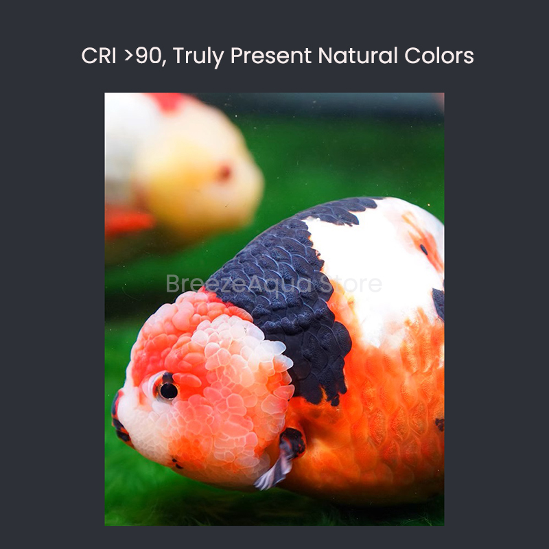 MAYIN Super Colour 100W Freshw - Aquarium Fish Colour recension och pris
