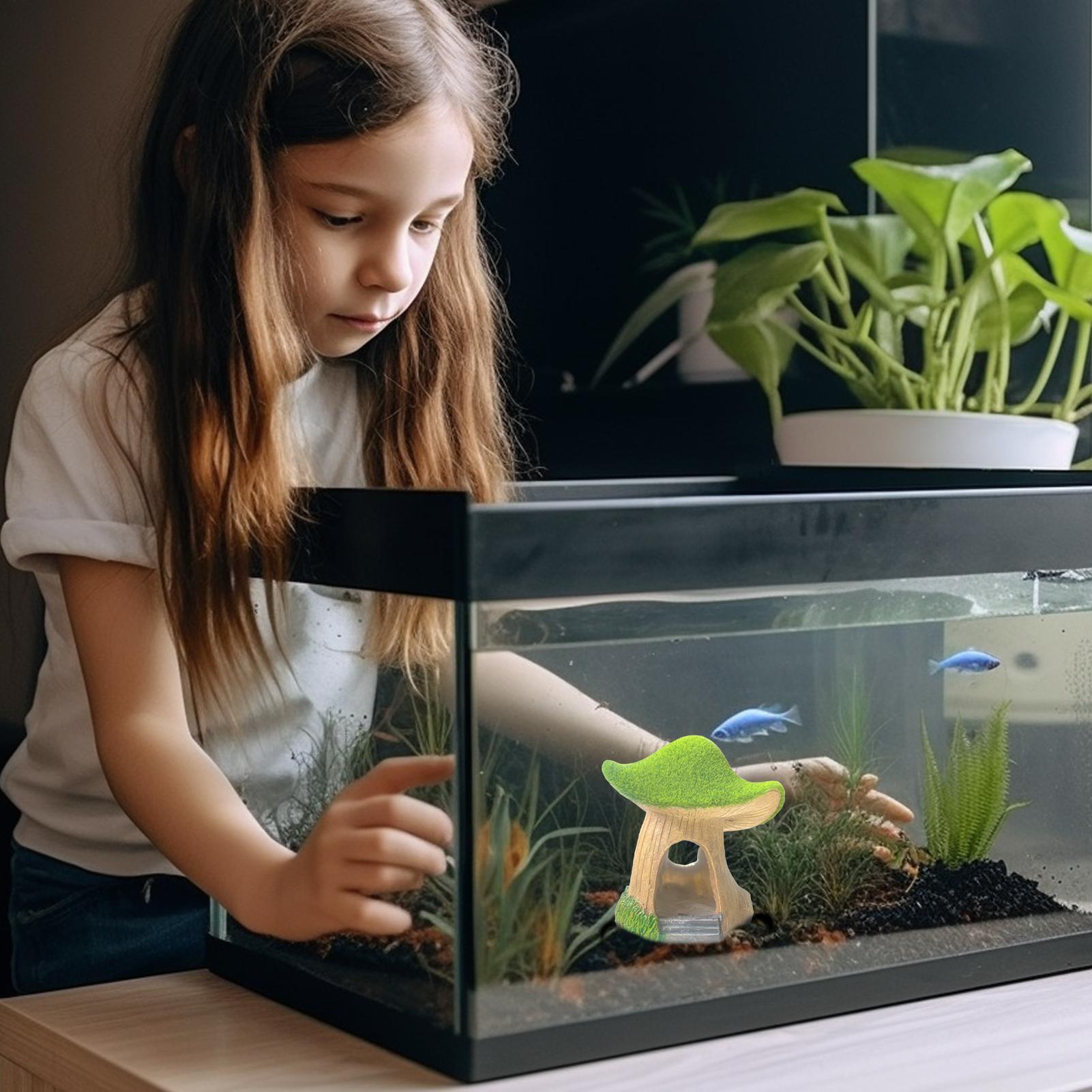 Aquarium Statue Under Water Sc - Aquarium Fish Restaurant recension och pris