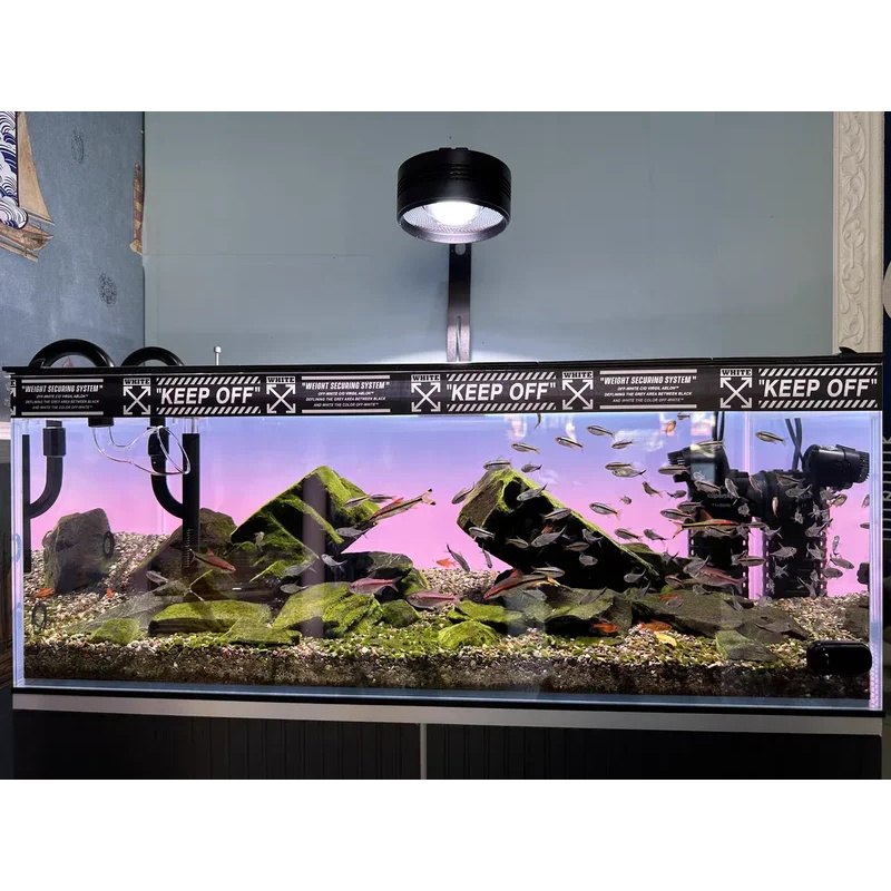 RGB Acrylic Fish Tank Backdrop - Aquarium Fish Colour recension och pris