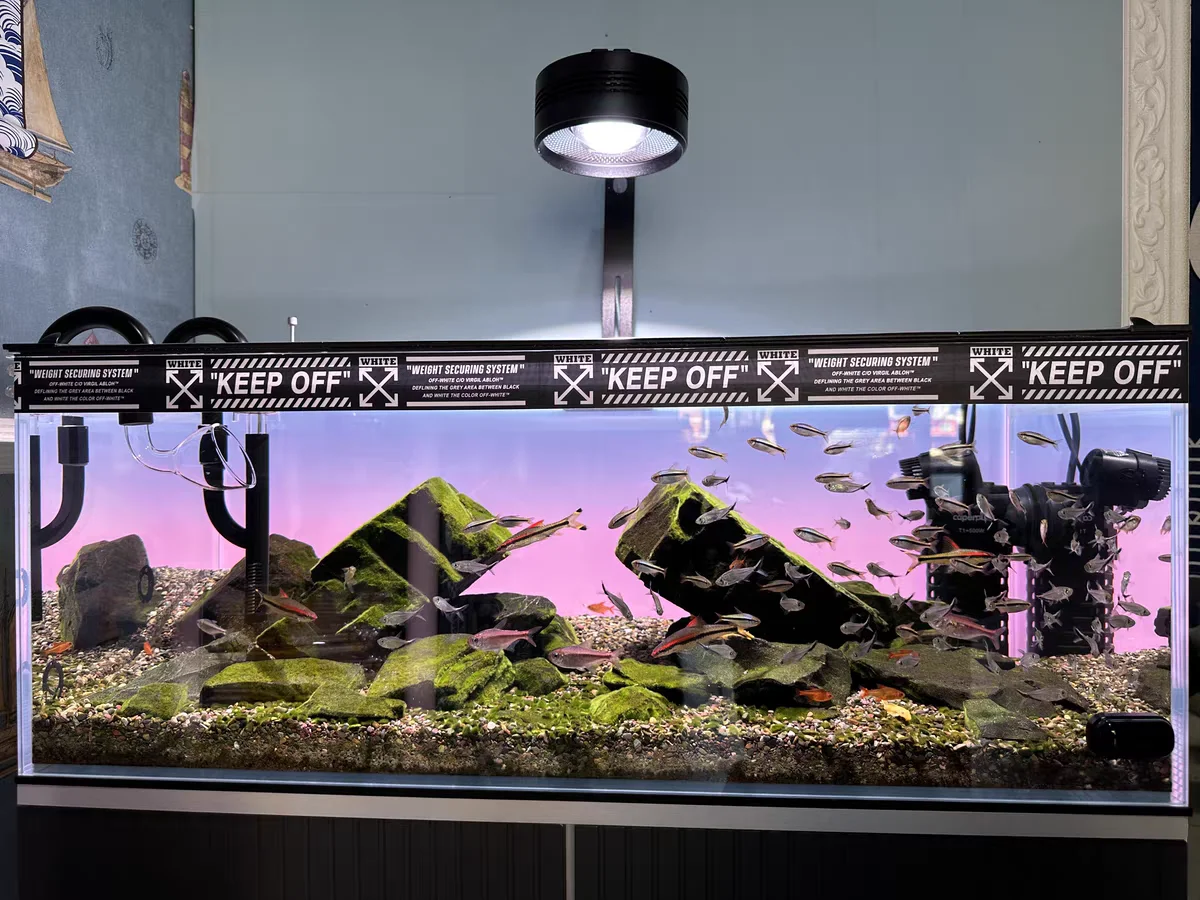 RGB Acrylic Fish Tank Backdrop - Aquarium Fish Colour recension och pris