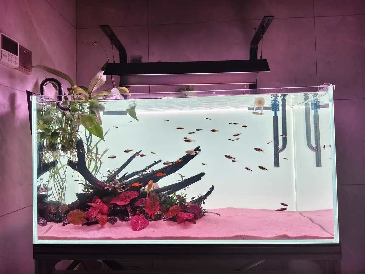 RGB Acrylic Fish Tank Backdrop - Aquarium Fish Colour recension och pris