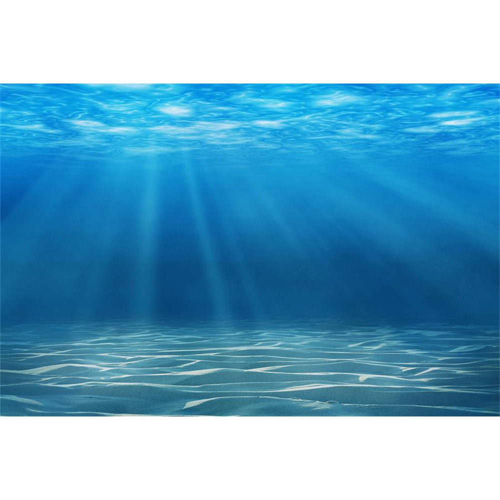 Underwater World Seabed Photog - Aquarium Fish World recension och pris