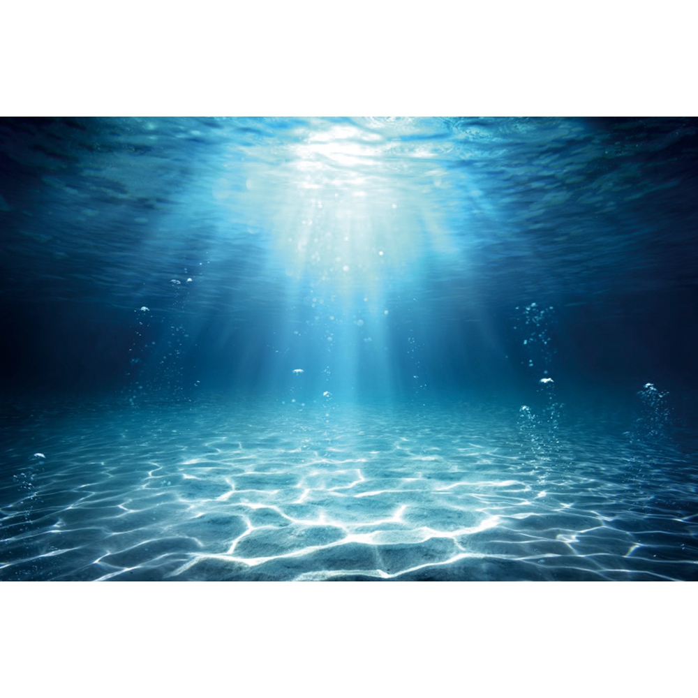 Underwater World Seabed Photog - Aquarium Fish World recension och pris