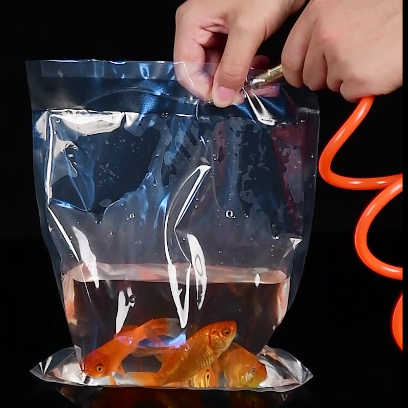 TETP 100Pcs transparent Orname - Aquarium Fish Delivery recension och pris